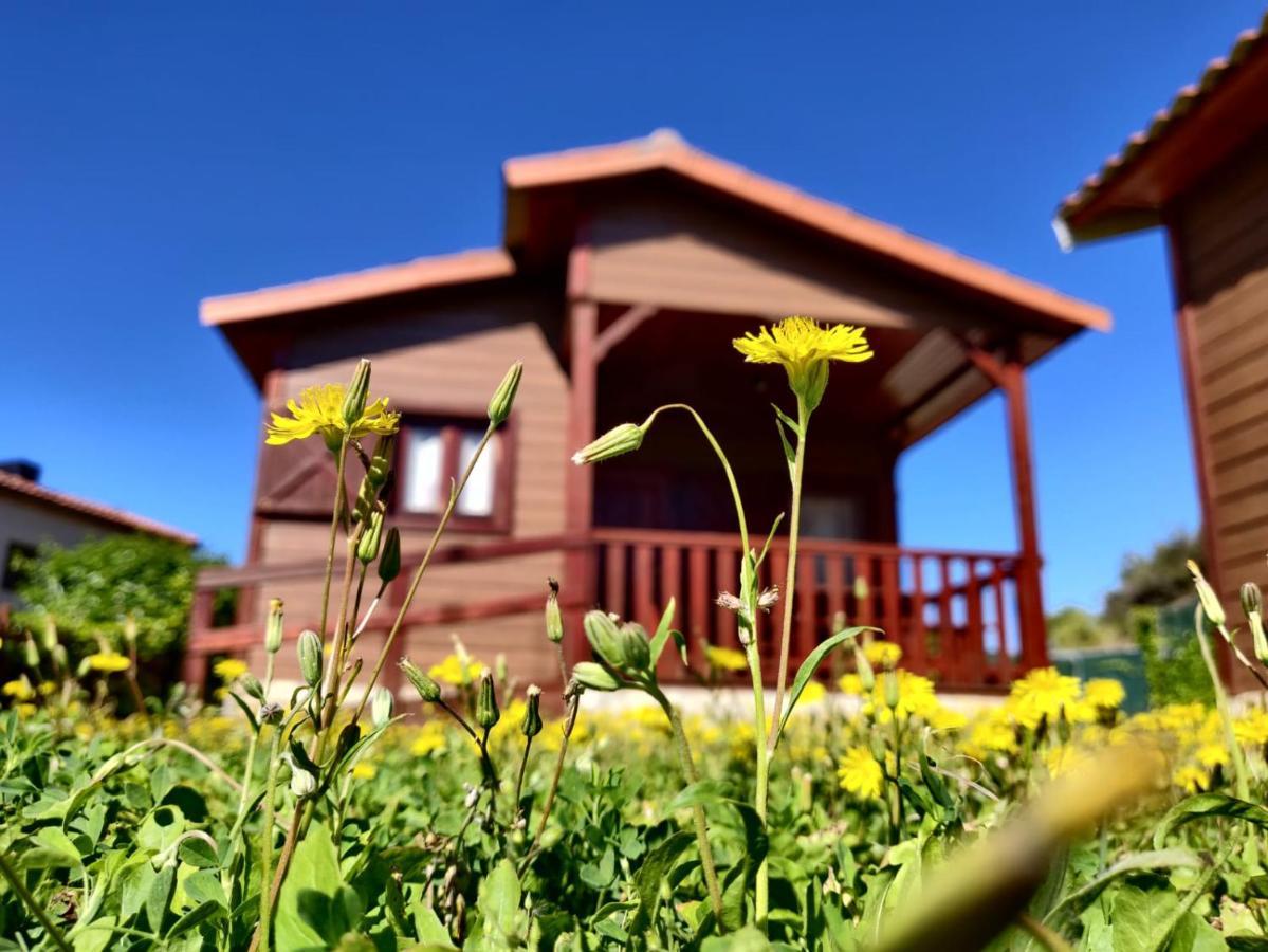 Serra de Prades Camping Vilanova de Prades Exterior foto